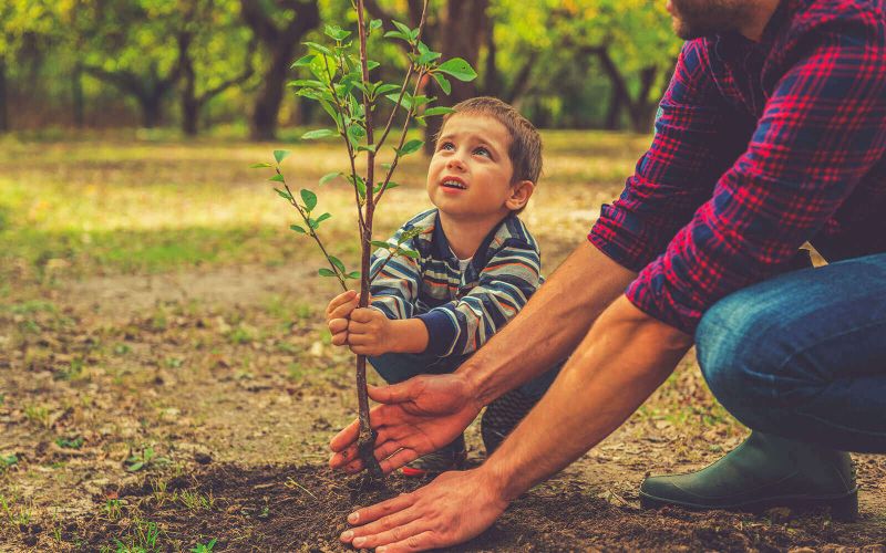 Como construir uma horta? Tenha mais contato com a natureza dentro de sua propriedade! 